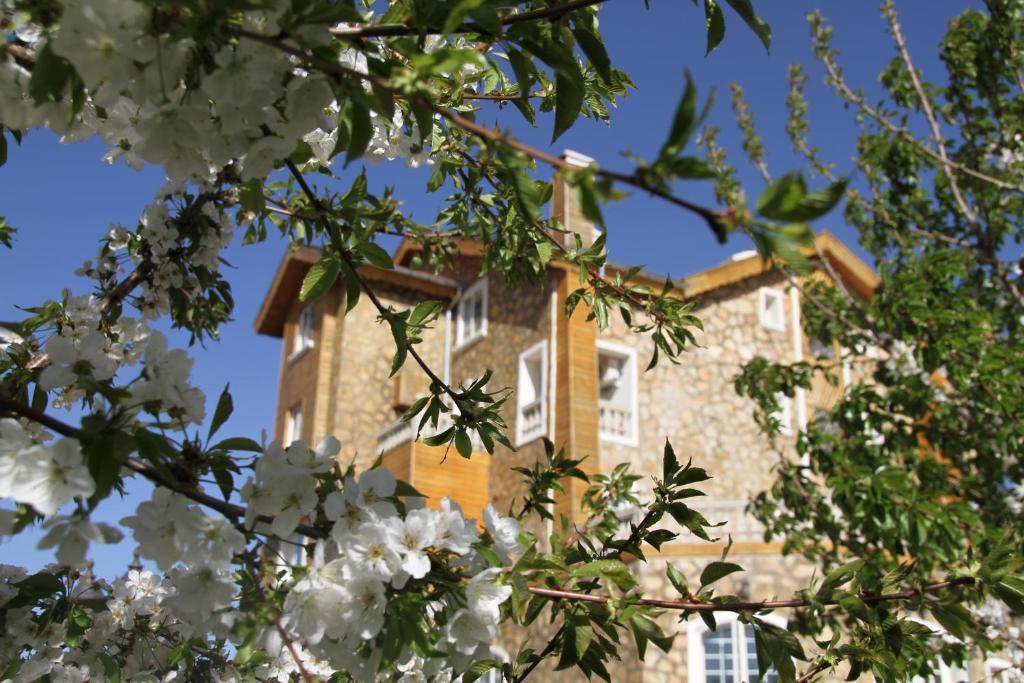 Hotel Le Palais Des Cerisiers Azrou Exterior foto